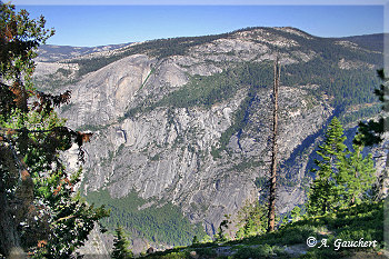 Blick in den Tenaya Canyon