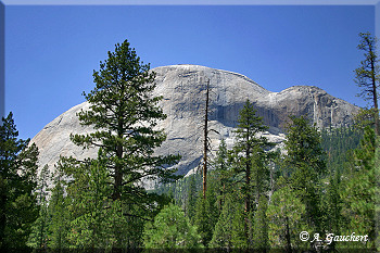 Blick Half Dome