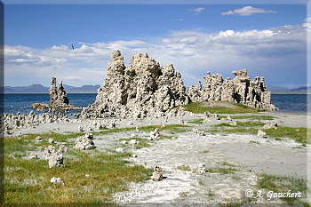 Ufer Mono Lake