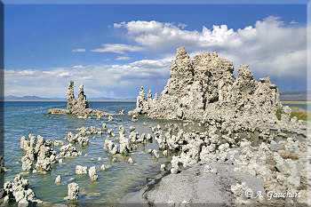 Sand Tufa im Wasser