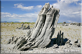 Schiefer Sand Tufa