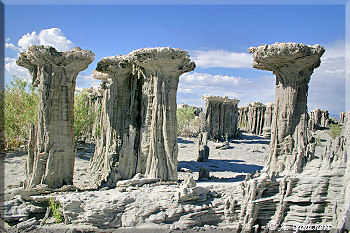 Hohe Sand Tufa