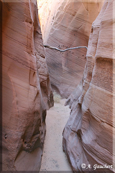 Anfang des Canyons