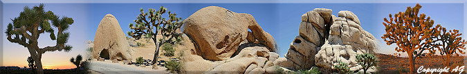 Eindrücke vom Joshua Tree National Park