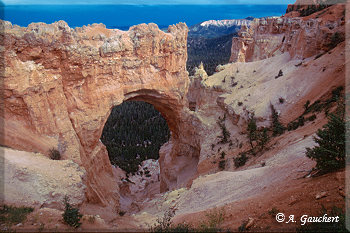 Natural Bridge