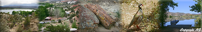 Escalante Petrified Forest State Park